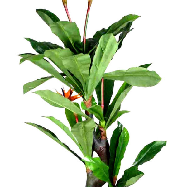 artificial-plant-height-63-inch-245408