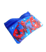 kids-pencil-bag-spiderman-625110